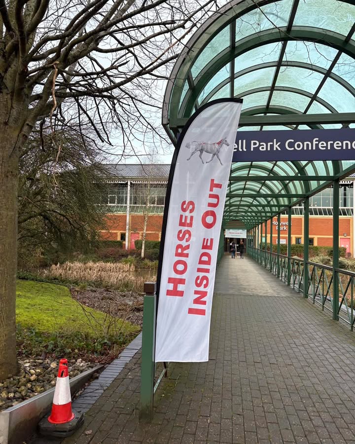 Equine Dental Clinic Ltd