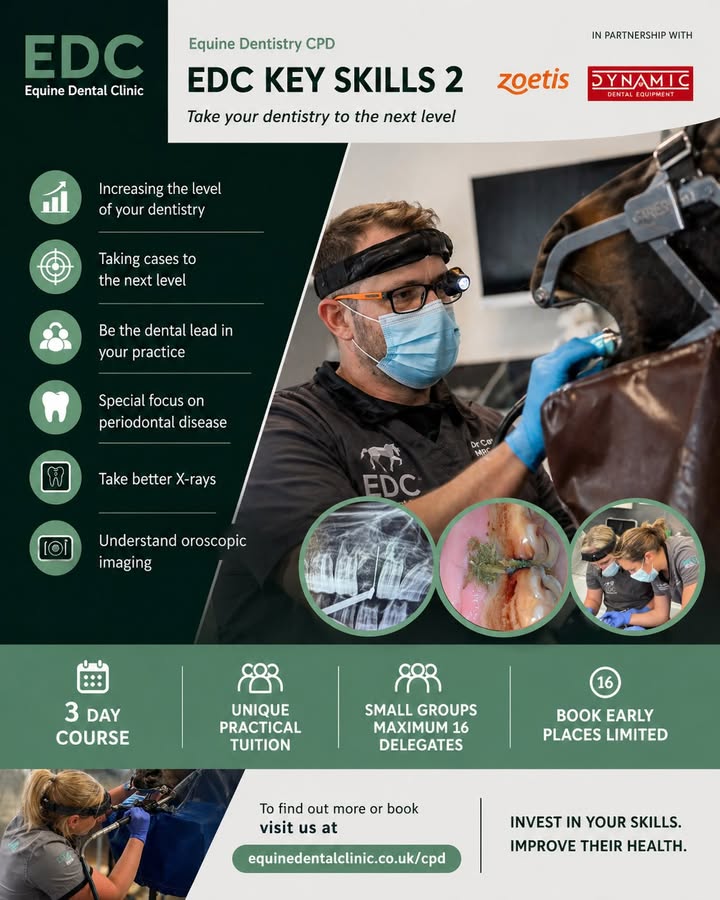 Equine Dental Clinic Ltd