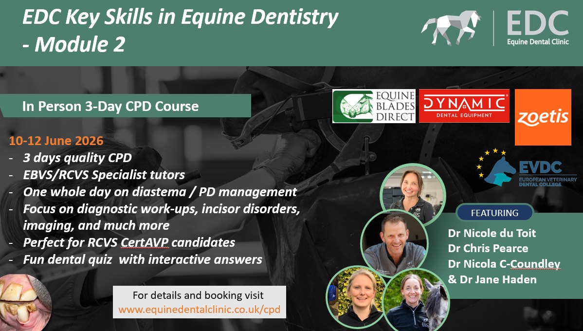 Equine Dental Clinic Ltd